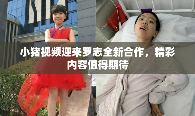 小猪视频迎来罗志全新合作，精彩内容值得期待