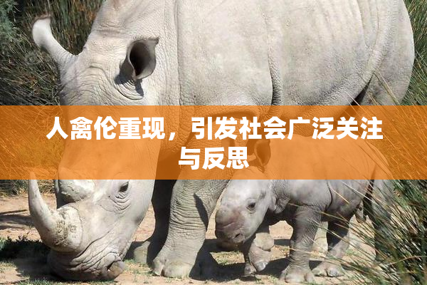 人禽伦重现，引发社会广泛关注与反思