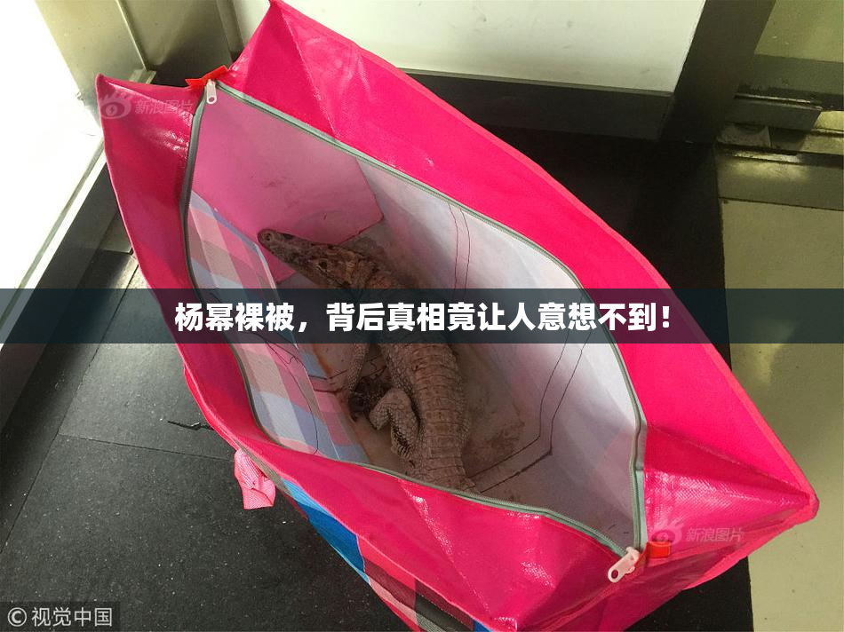 杨幂裸被，背后真相竟让人意想不到！