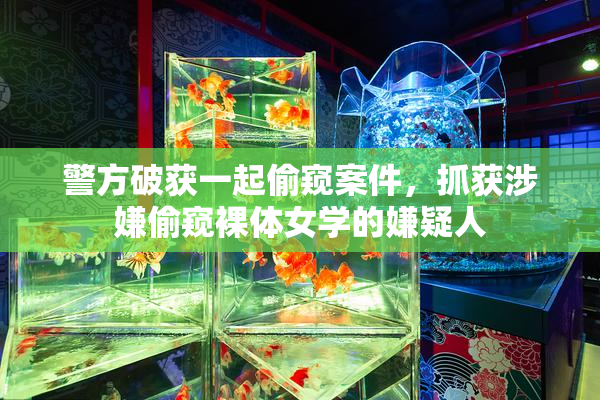 警方破获一起偷窥案件，抓获涉嫌偷窥裸体女学的嫌疑人