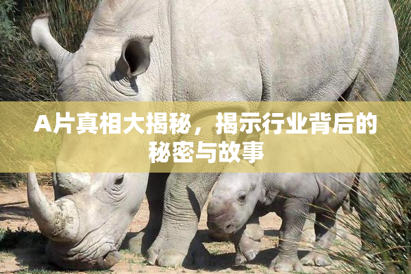 A片真相大揭秘，揭示行业背后的秘密与故事