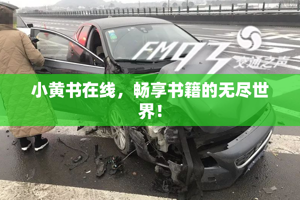 小黄书在线，畅享书籍的无尽世界！