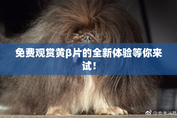 免费观赏黄β片的全新体验等你来试！