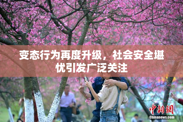 变态行为再度升级，社会安全堪忧引发广泛关注