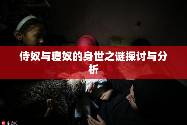 侍奴与寝奴的身世之谜探讨与分析