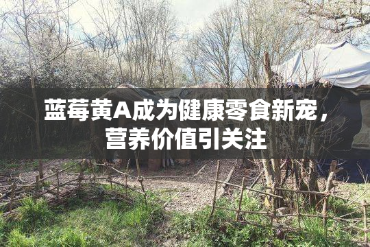 蓝莓黄A成为健康零食新宠，营养价值引关注