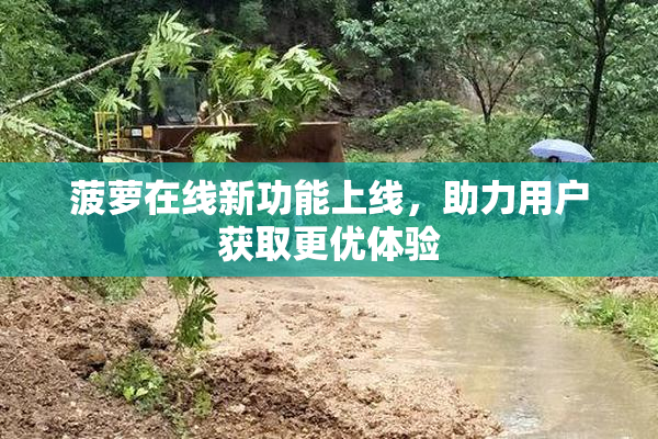 菠萝在线新功能上线，助力用户获取更优体验