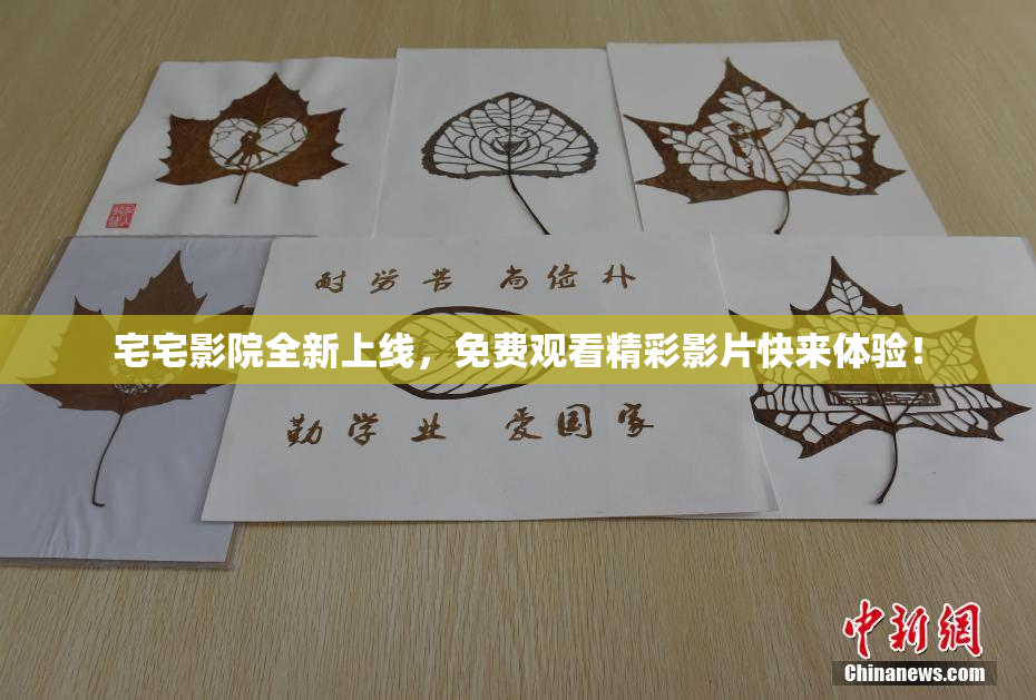 宅宅影院全新上线，免费观看精彩影片快来体验！