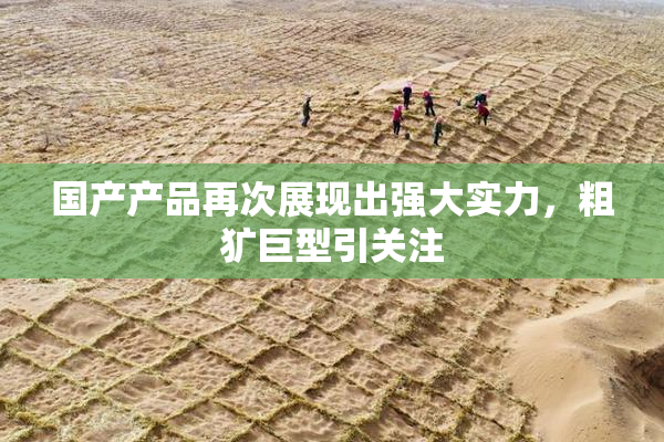 国产产品再次展现出强大实力，粗犷巨型引关注