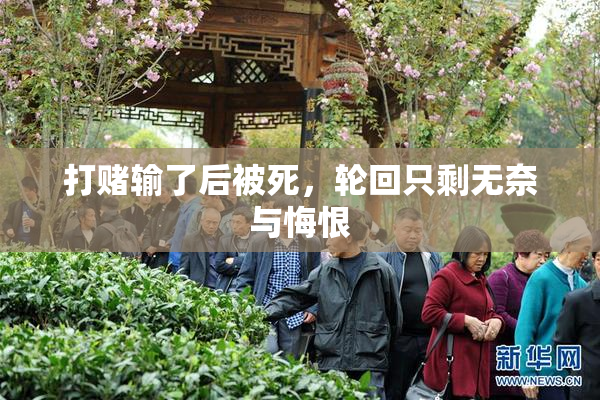 打赌输了后被死，轮回只剩无奈与悔恨