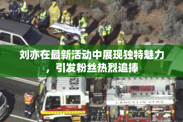 刘亦在最新活动中展现独特魅力，引发粉丝热烈追捧