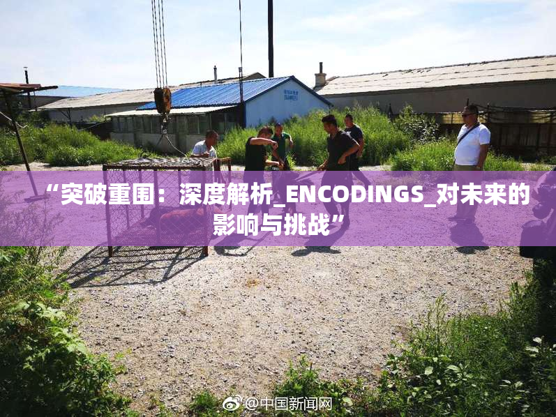 “突破重围：深度解析_ENCODINGS_对未来的影响与挑战”