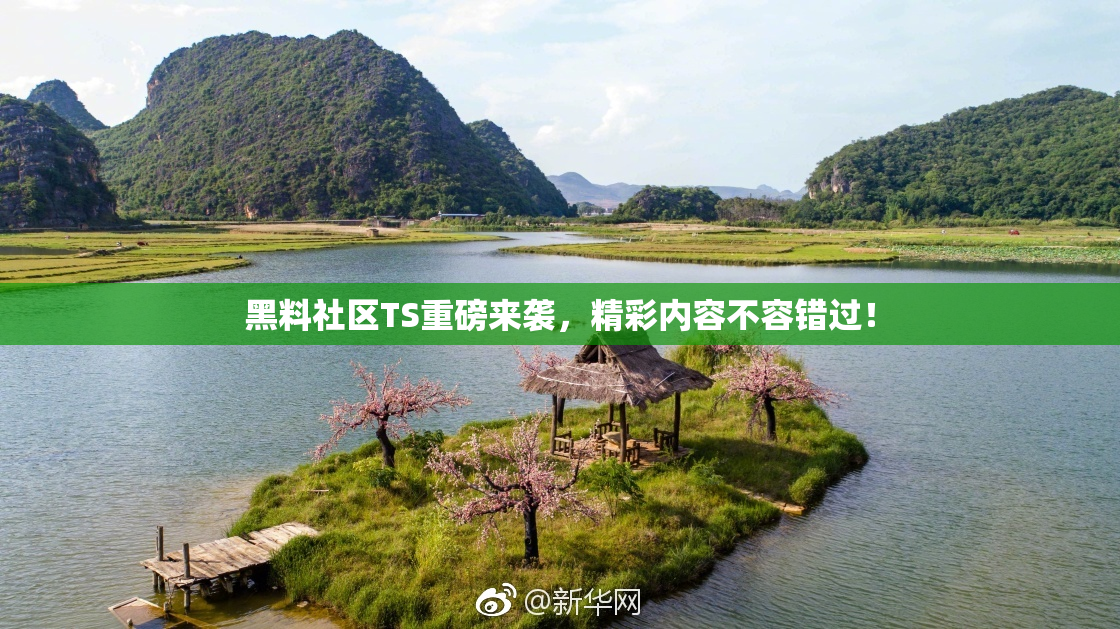 黑料社区TS重磅来袭，精彩内容不容错过！