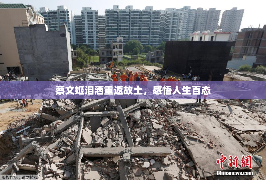蔡文姬泪洒重返故土，感悟人生百态