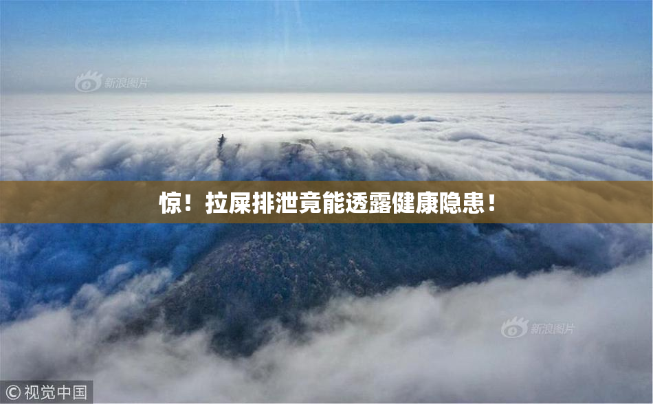 惊！拉屎排泄竟能透露健康隐患！