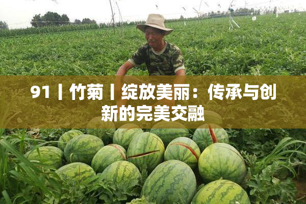 91丨竹菊丨绽放美丽：传承与创新的完美交融