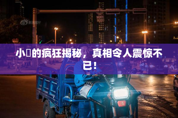 小泬的疯狂揭秘，真相令人震惊不已！