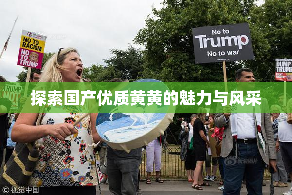 探索国产优质黄黄的魅力与风采