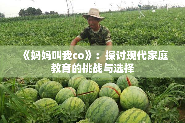 《妈妈叫我co》：探讨现代家庭教育的挑战与选择