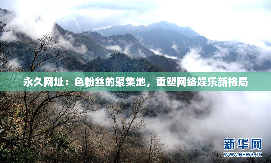 永久网址：色粉丝的聚集地，重塑网络娱乐新格局
