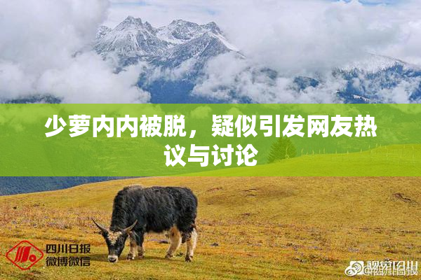 少萝内内被脱，疑似引发网友热议与讨论
