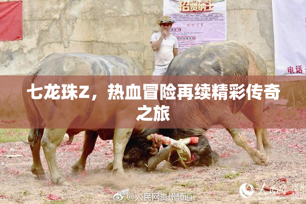 七龙珠Z，热血冒险再续精彩传奇之旅