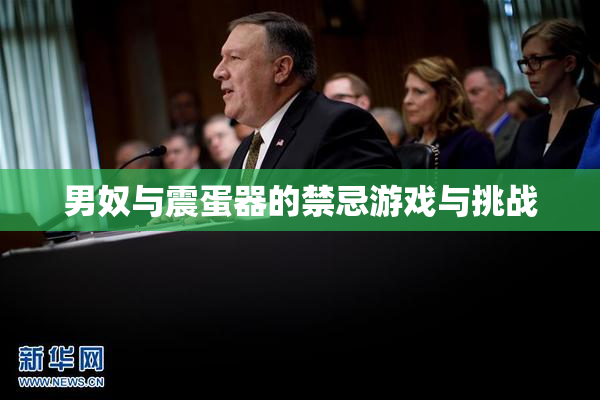 男奴与震蛋器的禁忌游戏与挑战