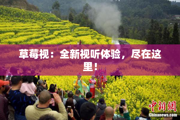 草莓视：全新视听体验，尽在这里！