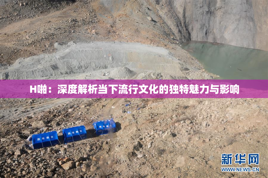 H啪：深度解析当下流行文化的独特魅力与影响