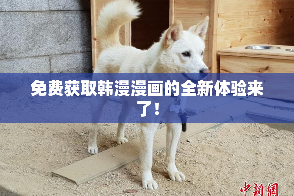 免费获取韩漫漫画的全新体验来了！