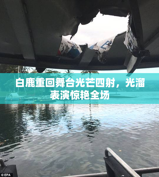 白鹿重回舞台光芒四射，光溜表演惊艳全场