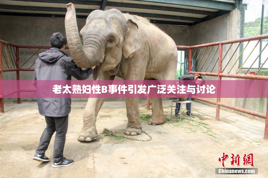 老太熟妇性B事件引发广泛关注与讨论