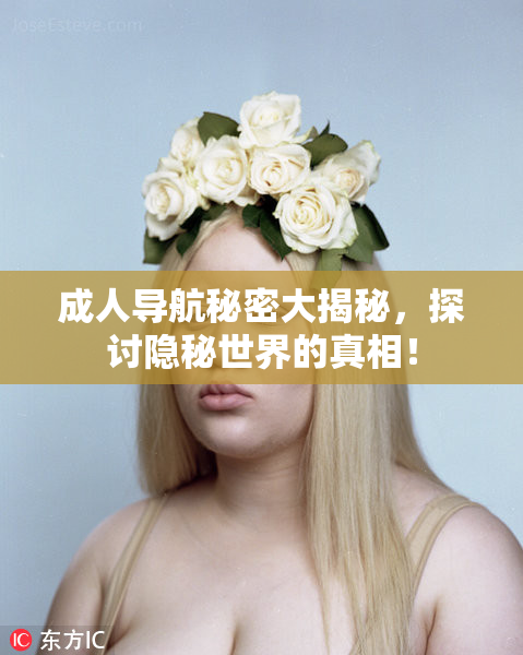 成人导航秘密大揭秘，探讨隐秘世界的真相！