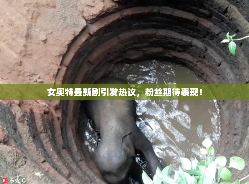 女奥特曼新剧引发热议，粉丝期待表现！