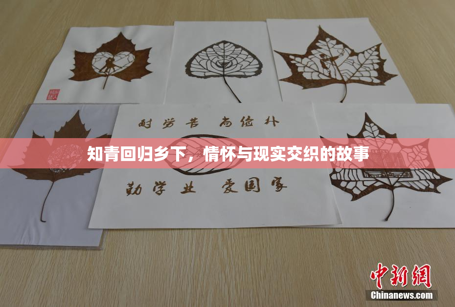 知青回归乡下，情怀与现实交织的故事