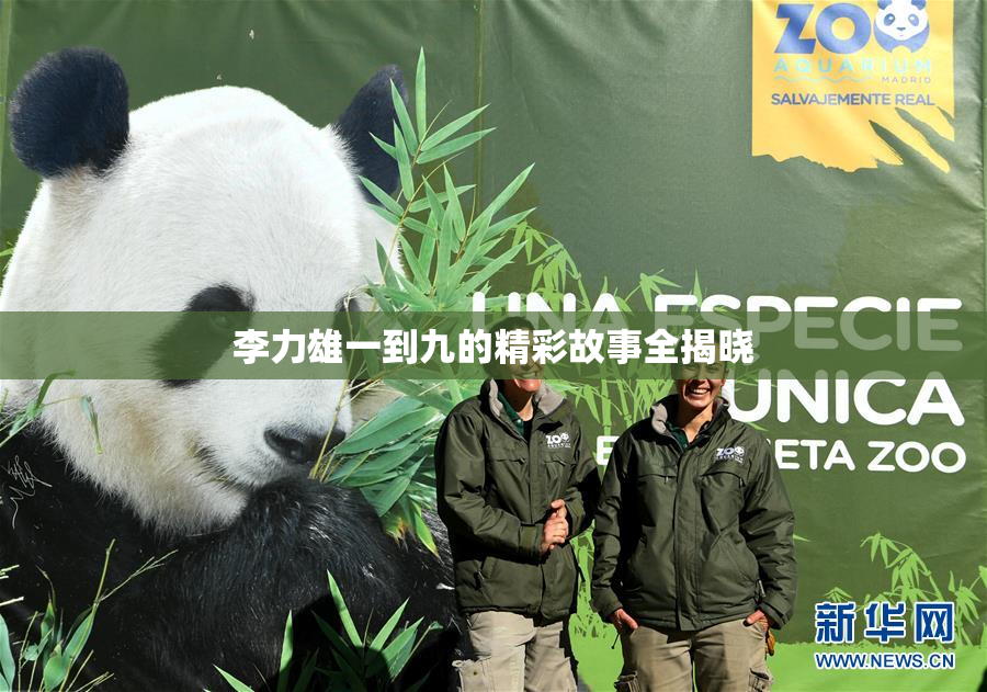 李力雄一到九的精彩故事全揭晓