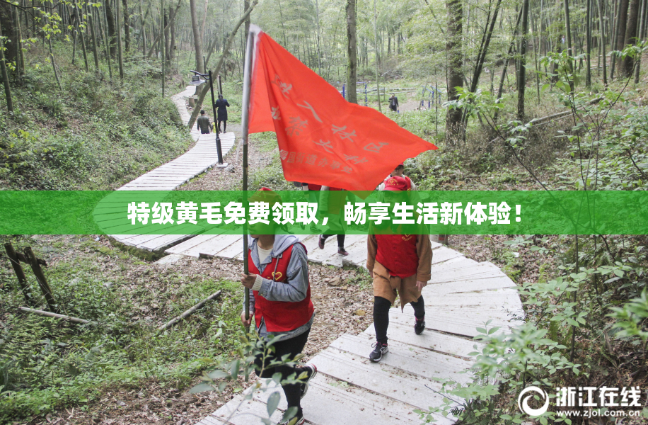 特级黄毛免费领取，畅享生活新体验！