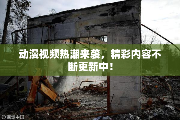 动漫视频热潮来袭，精彩内容不断更新中！