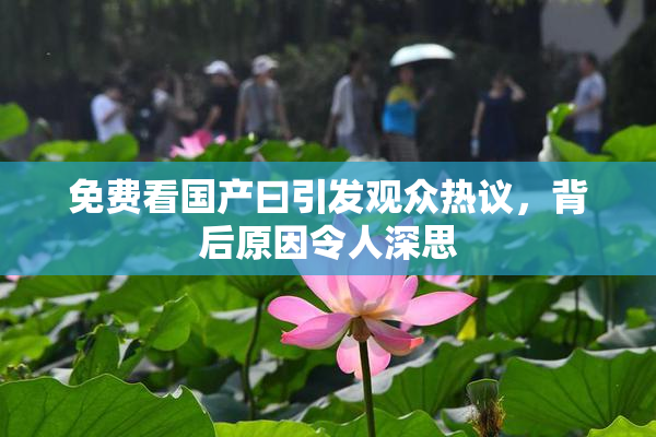 免费看国产曰引发观众热议，背后原因令人深思
