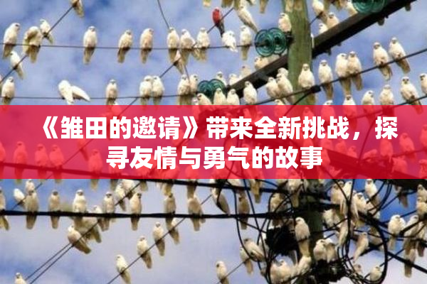 《雏田的邀请》带来全新挑战，探寻友情与勇气的故事