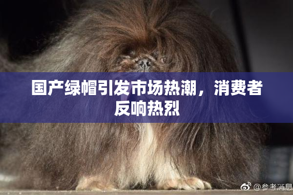 国产绿帽引发市场热潮，消费者反响热烈