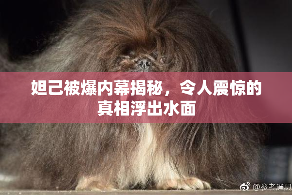 妲己被爆内幕揭秘，令人震惊的真相浮出水面
