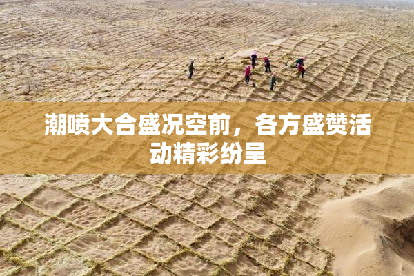 潮喷大合盛况空前，各方盛赞活动精彩纷呈