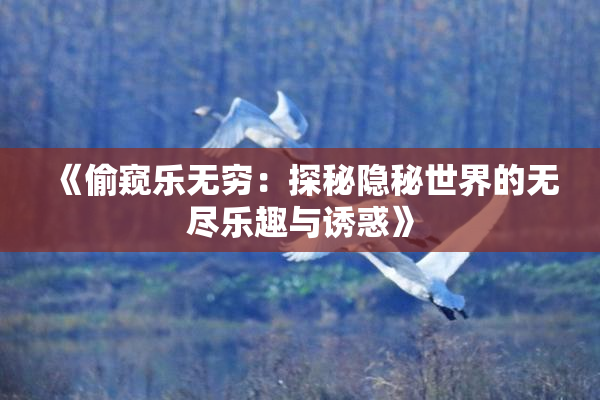 《偷窥乐无穷：探秘隐秘世界的无尽乐趣与诱惑》