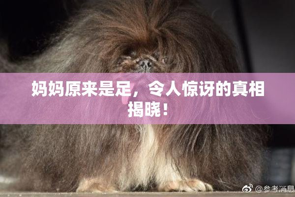 妈妈原来是足，令人惊讶的真相揭晓！