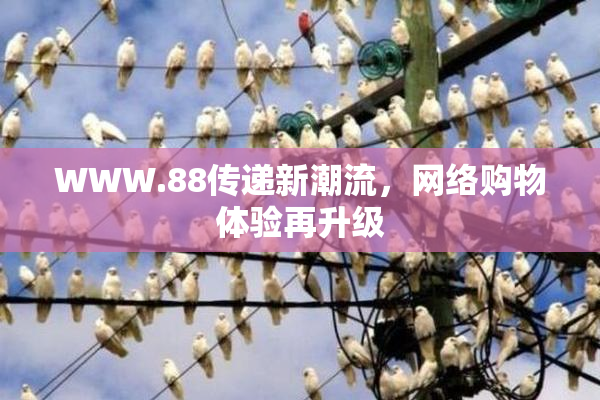 WWW.88传递新潮流，网络购物体验再升级