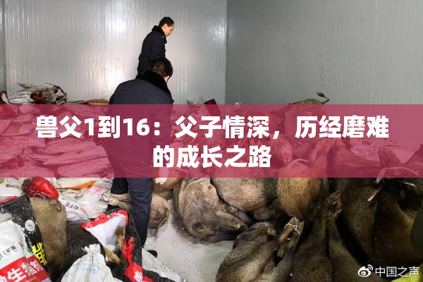 兽父1到16：父子情深，历经磨难的成长之路
