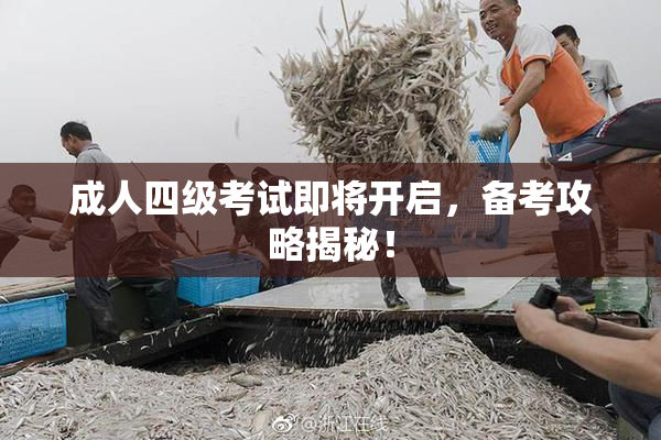 成人四级考试即将开启，备考攻略揭秘！