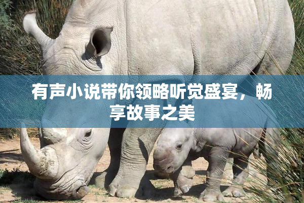 有声小说带你领略听觉盛宴，畅享故事之美