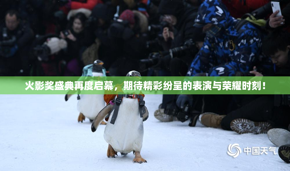 火影奖盛典再度启幕，期待精彩纷呈的表演与荣耀时刻！